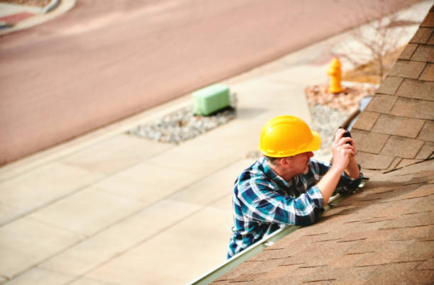 Best Roof Gutter Cleaning  in Roanoke, VA