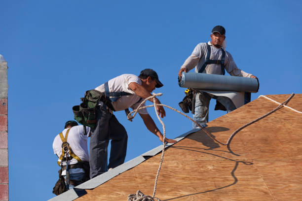 Best Roof Repair Services  in Roanoke, VA