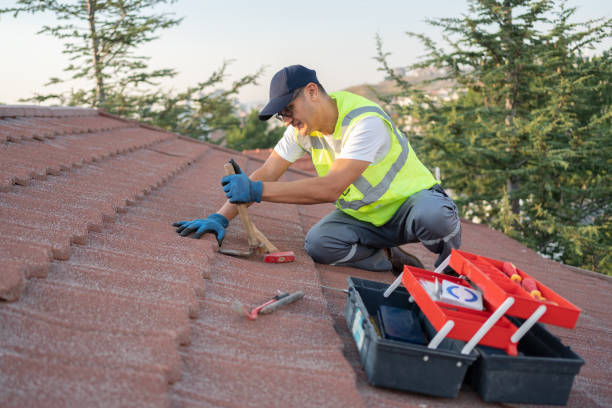 Best Roof Leak Repair  in Roanoke, VA