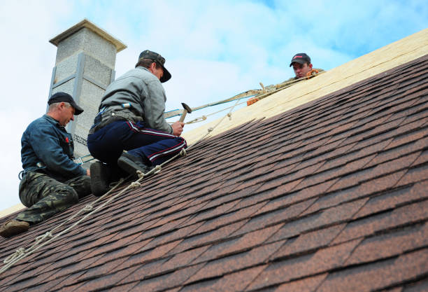 Best Roof Restoration Services  in Roanoke, VA