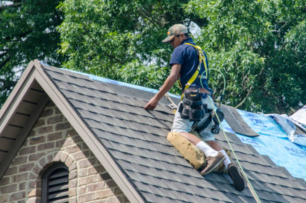 Best Roof Leak Repair  in Roanoke, VA